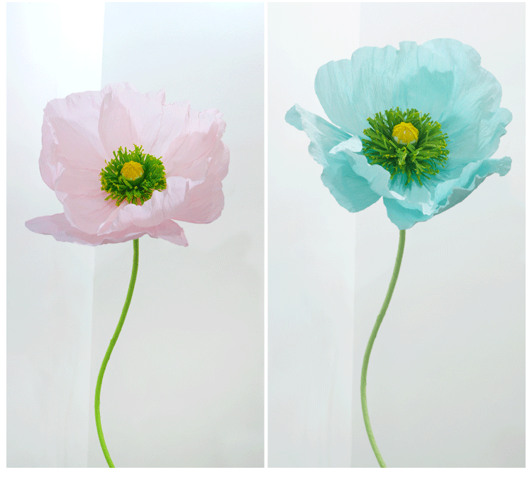 DIY Giant Poppy Crepe Paper Flower Kit | Large Handmade Artificial Flower Craft Set for Wedding, Event & Store Decoration | Macaron Color Display Props