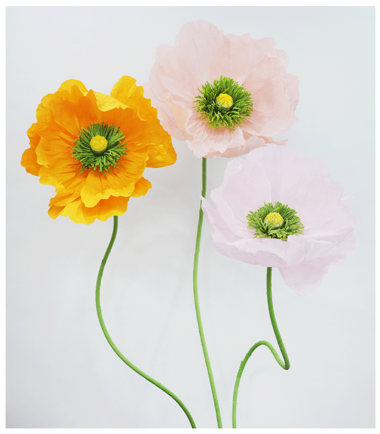 DIY Giant Poppy Crepe Paper Flower Kit | Large Handmade Artificial Flower Craft Set for Wedding, Event & Store Decoration | Macaron Color Display Props